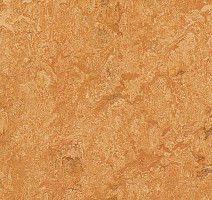 Линолеум Forbo Marmoleum Marbled Real 3174 Sahara фото 1 | FLOORDEALER